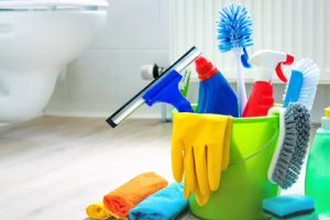 Messie Reinigung Witten